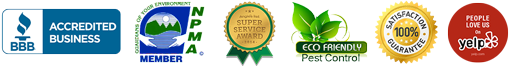 Trusted Plumbing Brands
